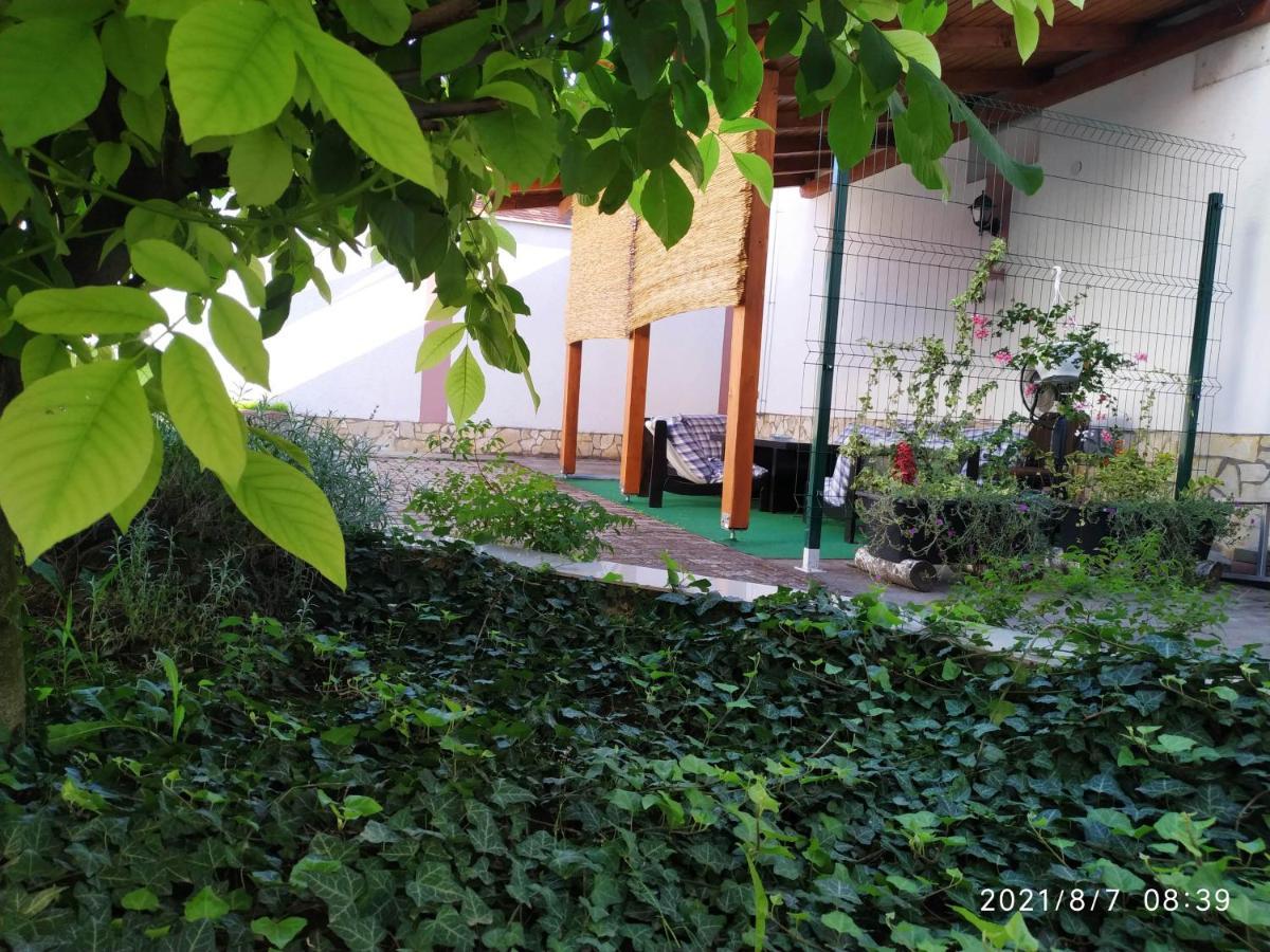 Apartman Tia Όσιγιεκ Εξωτερικό φωτογραφία
